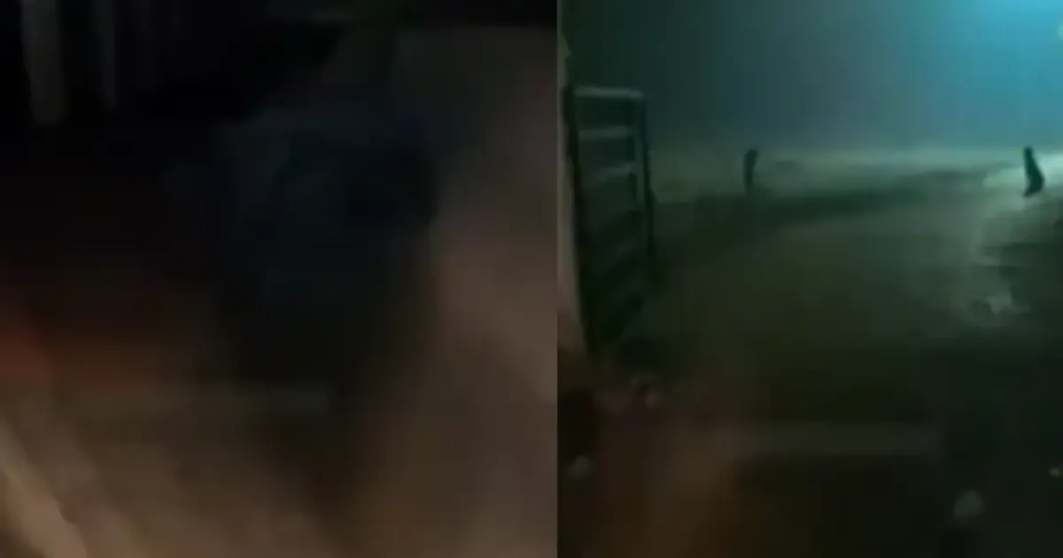 food delivery graveyard video